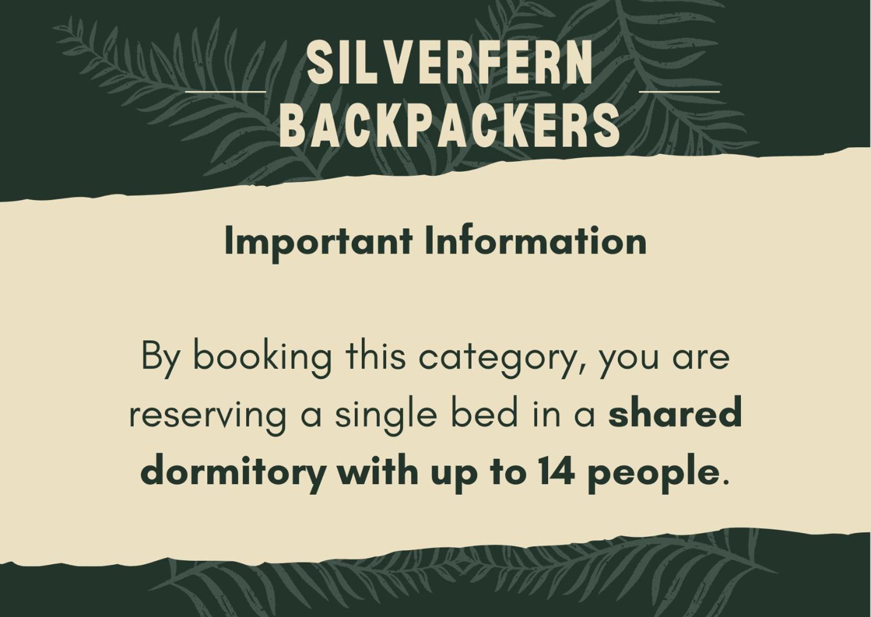 Silverfern Backpackers Auckland Chambre photo